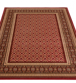 Синтетичний килим Standard Apium Terakota